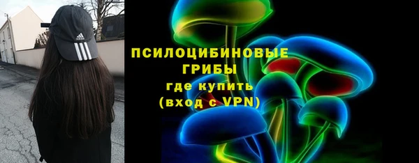 ПСИЛОЦИБИНОВЫЕ ГРИБЫ Лабытнанги