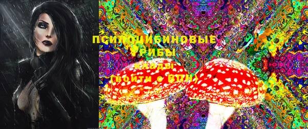 ПСИЛОЦИБИНОВЫЕ ГРИБЫ Лабытнанги