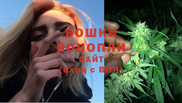 ПСИЛОЦИБИНОВЫЕ ГРИБЫ Лабытнанги