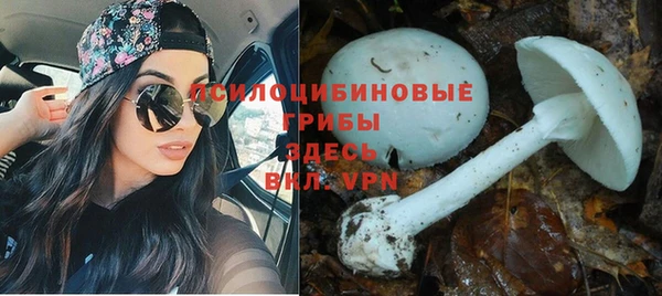 MESCALINE Ладушкин